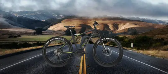 Bici elettrica quale scegliere