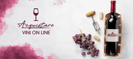 Vini Italiani online: Dove acquistarli?