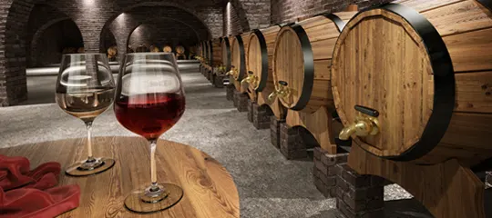 Vendemmia in Italia e cantine da visitare