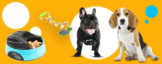 Croci codice promo -20%
